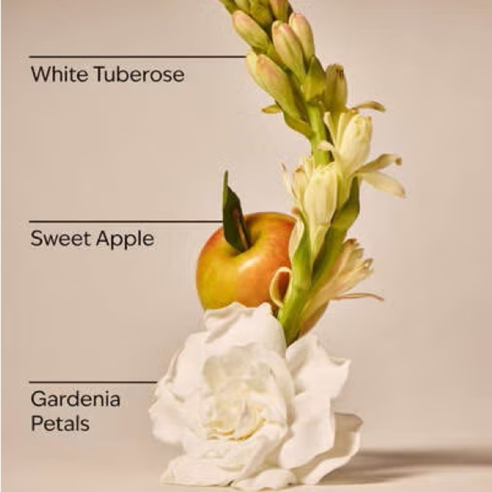 •White Gardenia• White Barn 3-Wick Soy Wax Blend Candle - Picture 2 of 3